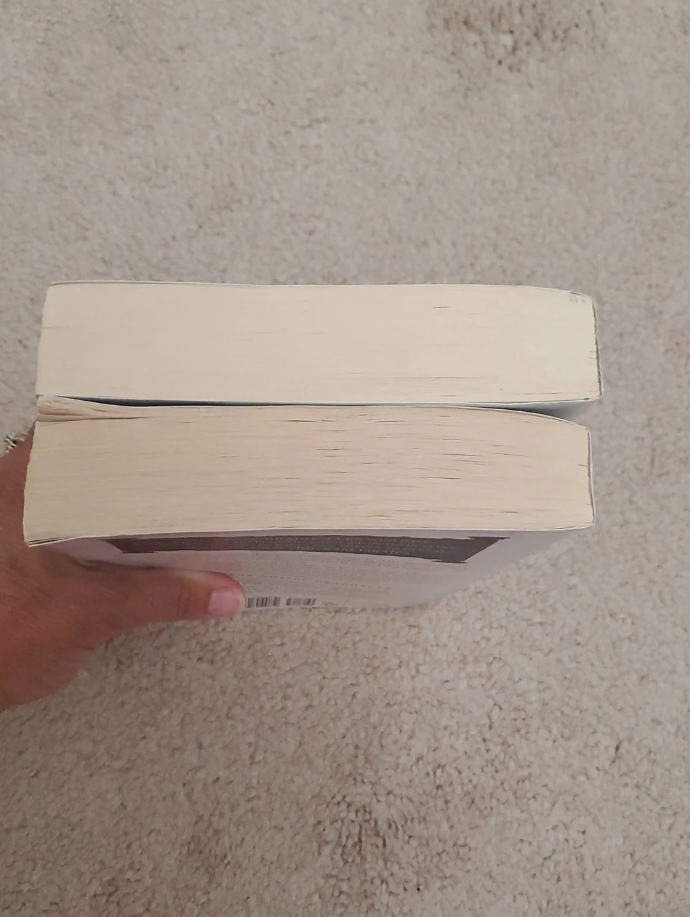 Dragoneer Academy Novels